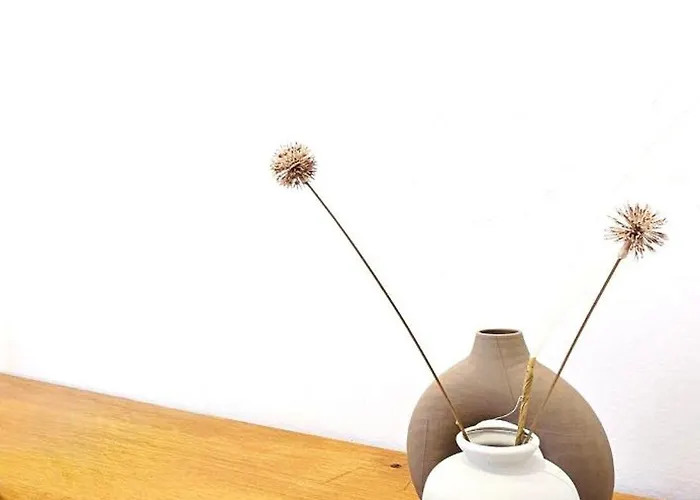 Aba Maya 2 Pensión Alguer